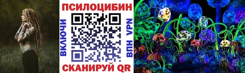 Псилоцибиновые грибы Cubensis  Купить где  Волосово 
